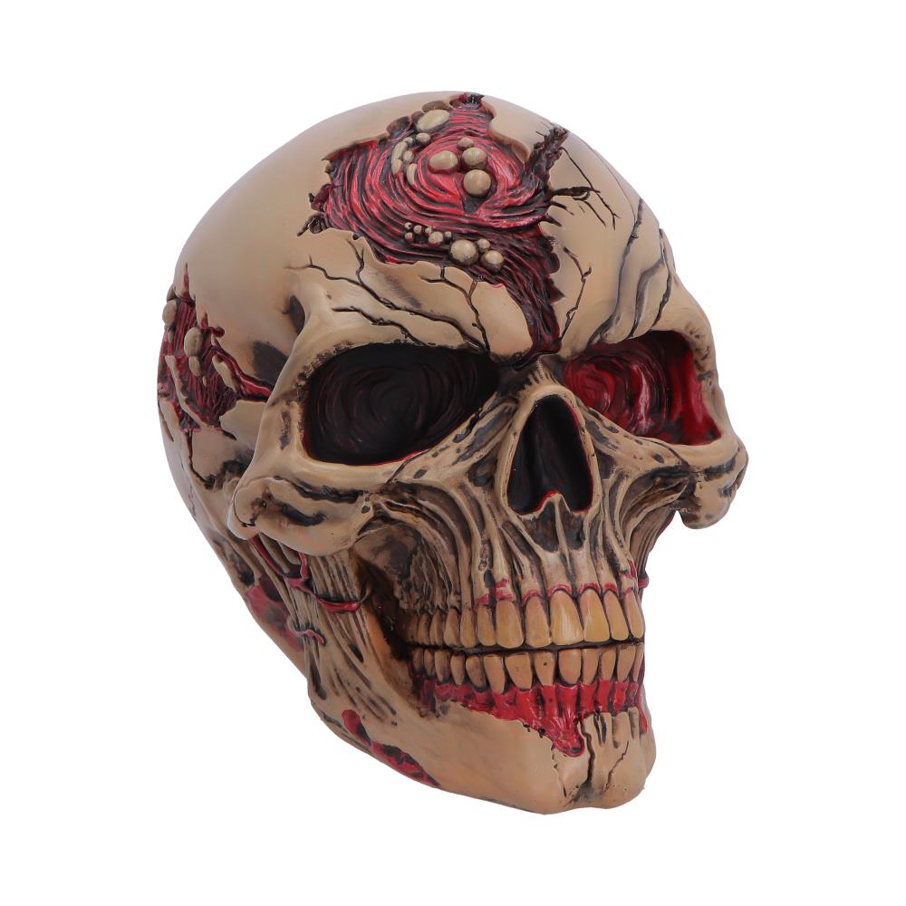 Hall of Horrors Walker of Death Zombie Skull | Gothic Halloween Skull Ornament | Nemesis Now 15.5cm