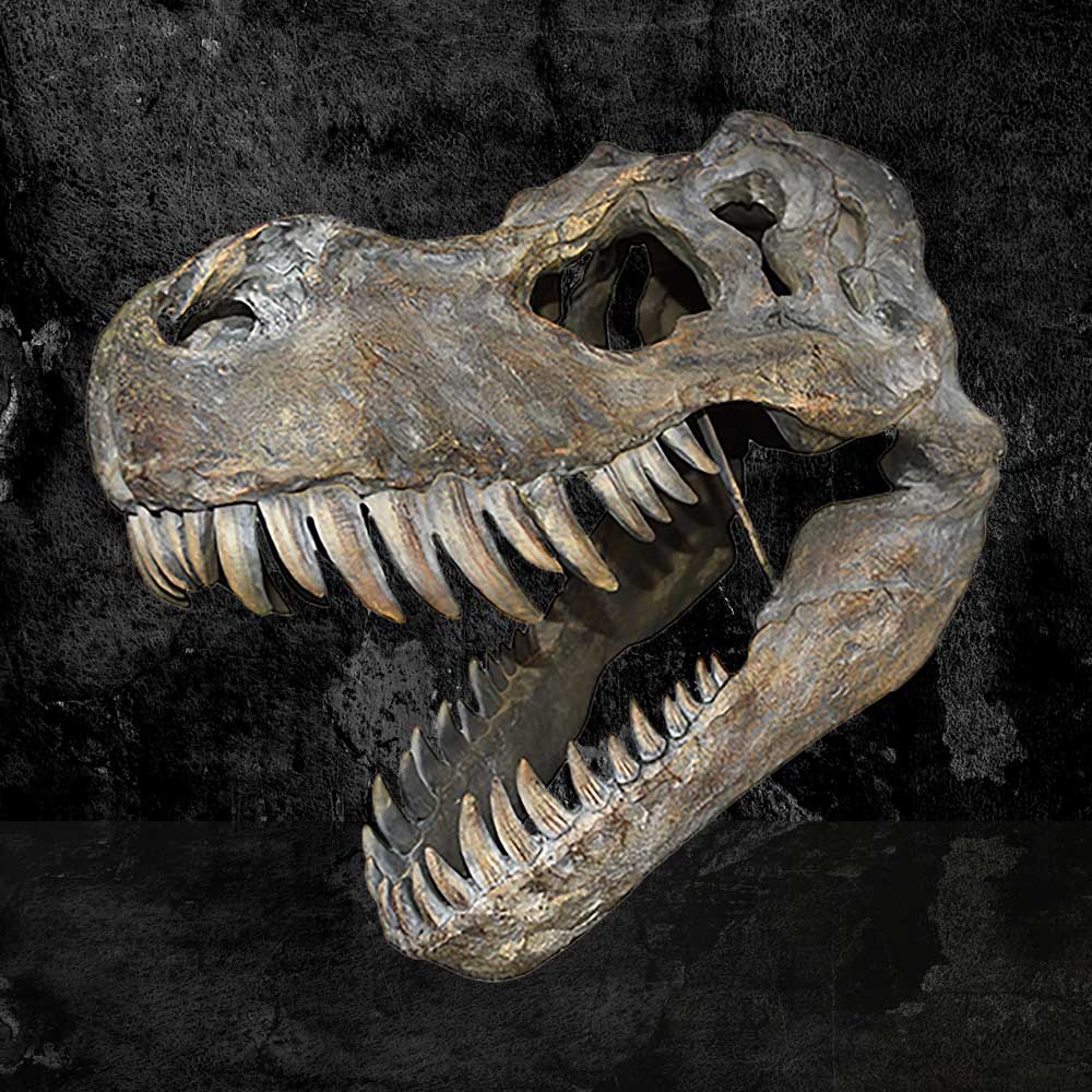 Large T-Rex Skull Wall Hanging 51.5cm – Nemesis Now