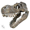 Large T-Rex Skull Wall Hanging 51.5cm – Nemesis Now