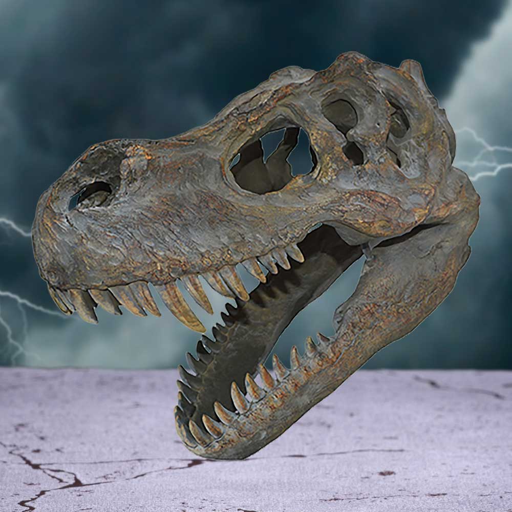 T-Rex Skull Wall Hanging 39.5cm – Nemesis Now