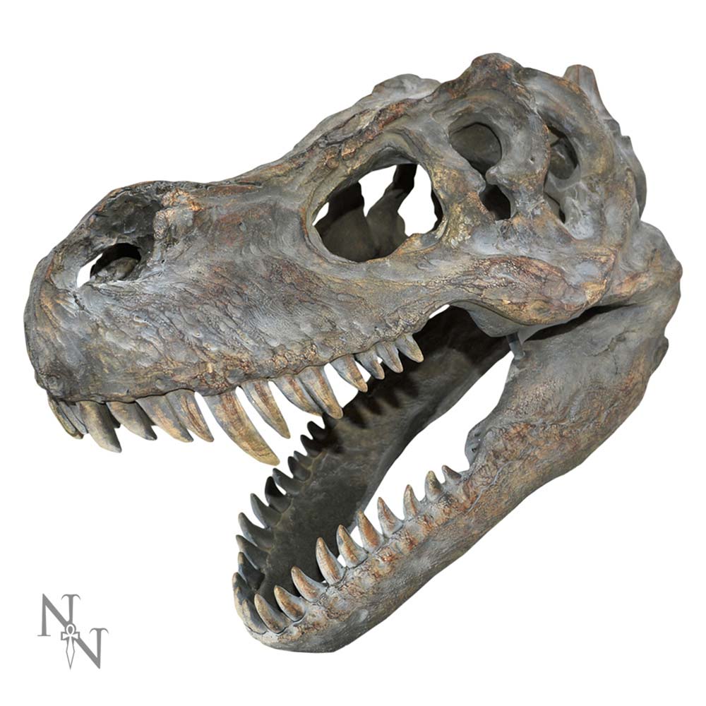 T-Rex Skull Wall Hanging 39.5cm – Nemesis Now