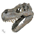 T-Rex Skull Wall Hanging 39.5cm – Nemesis Now