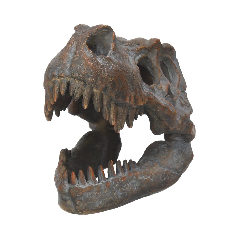 T-Rex Skull Resin Replica 16cm – Nemesis Now Dinosaur Ornament