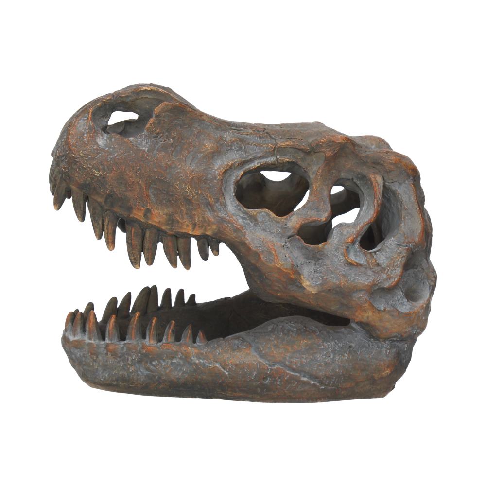 T-Rex Skull Resin Replica 16cm – Nemesis Now Dinosaur Ornament