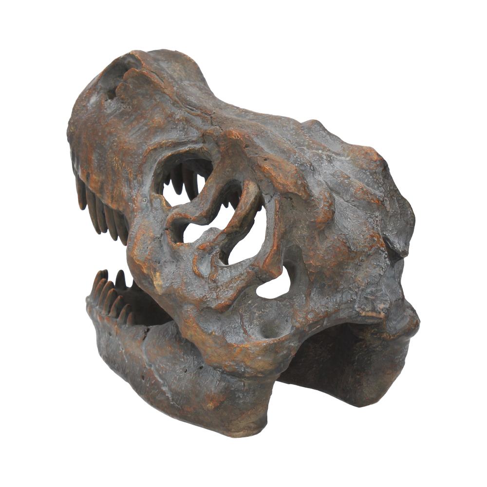 T-Rex Skull Resin Replica 16cm – Nemesis Now Dinosaur Ornament