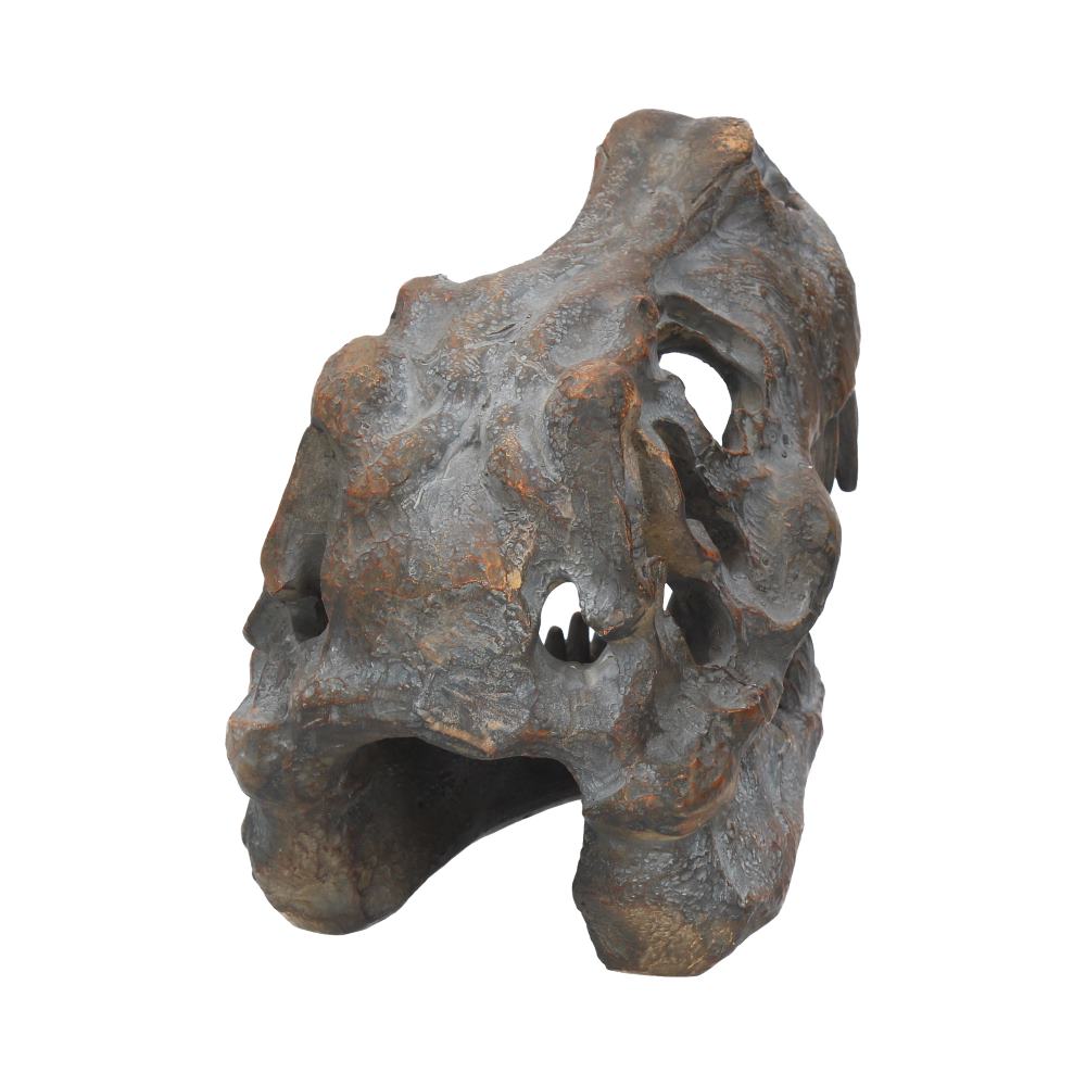 T-Rex Skull Resin Replica 16cm – Nemesis Now Dinosaur Ornament