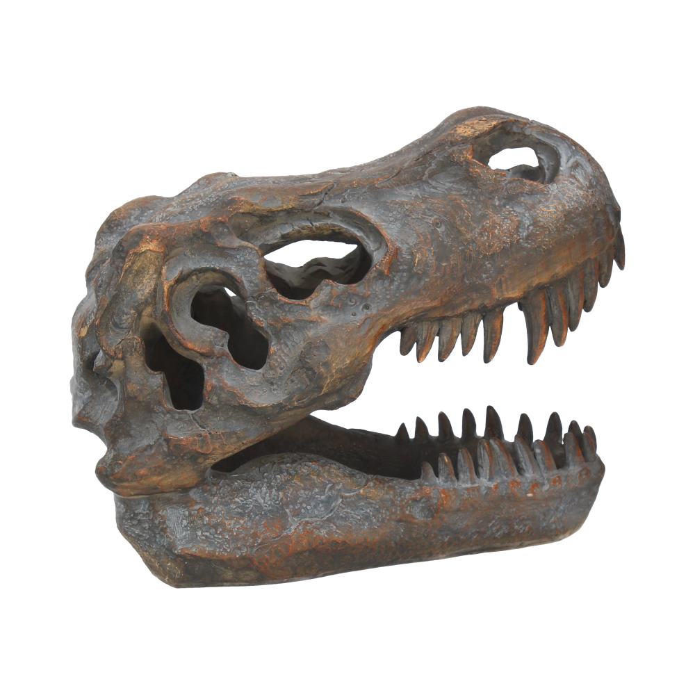 T-Rex Skull Resin Replica 16cm – Nemesis Now Dinosaur Ornament