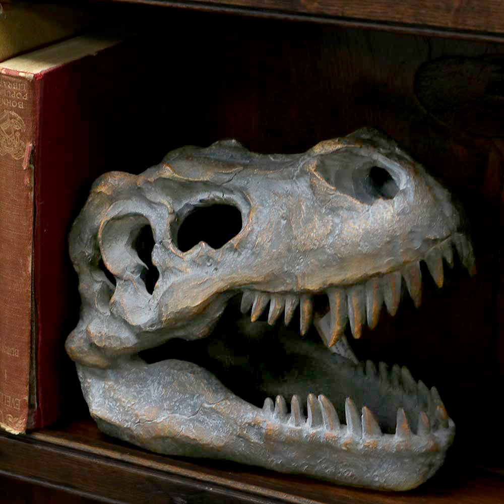 T-Rex Skull Resin Replica 16cm – Nemesis Now Dinosaur Ornament