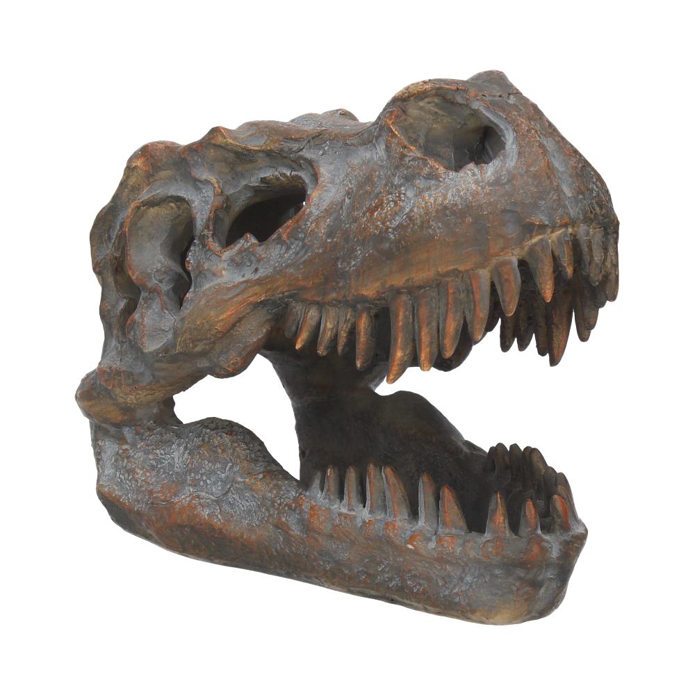 T-Rex Skull Resin Replica 16cm – Nemesis Now Dinosaur Ornament