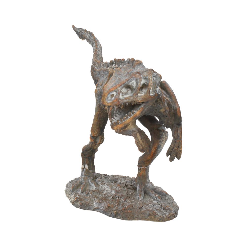 T-Rex Dinosaur Skeleton Figurine 33cm – Nemesis Now