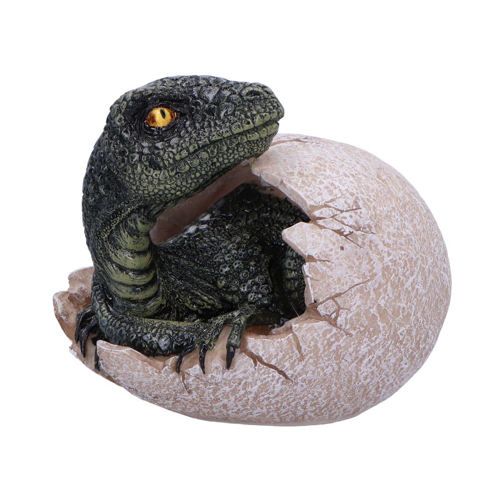 Raptor's Dawn Velociraptor Egg Hatchling Figurine 10cm – Nemesis Now