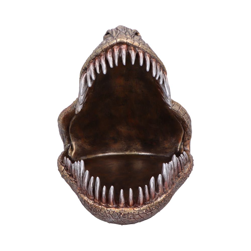 Metallic T-Rex Head Trinket Dish 21.5cm – Nemesis Now