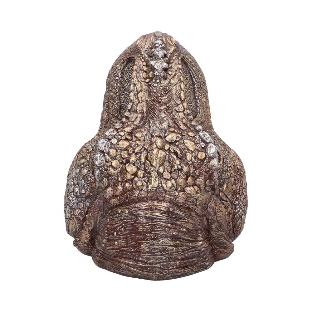 Metallic T-Rex Head Trinket Dish 21.5cm – Nemesis Now