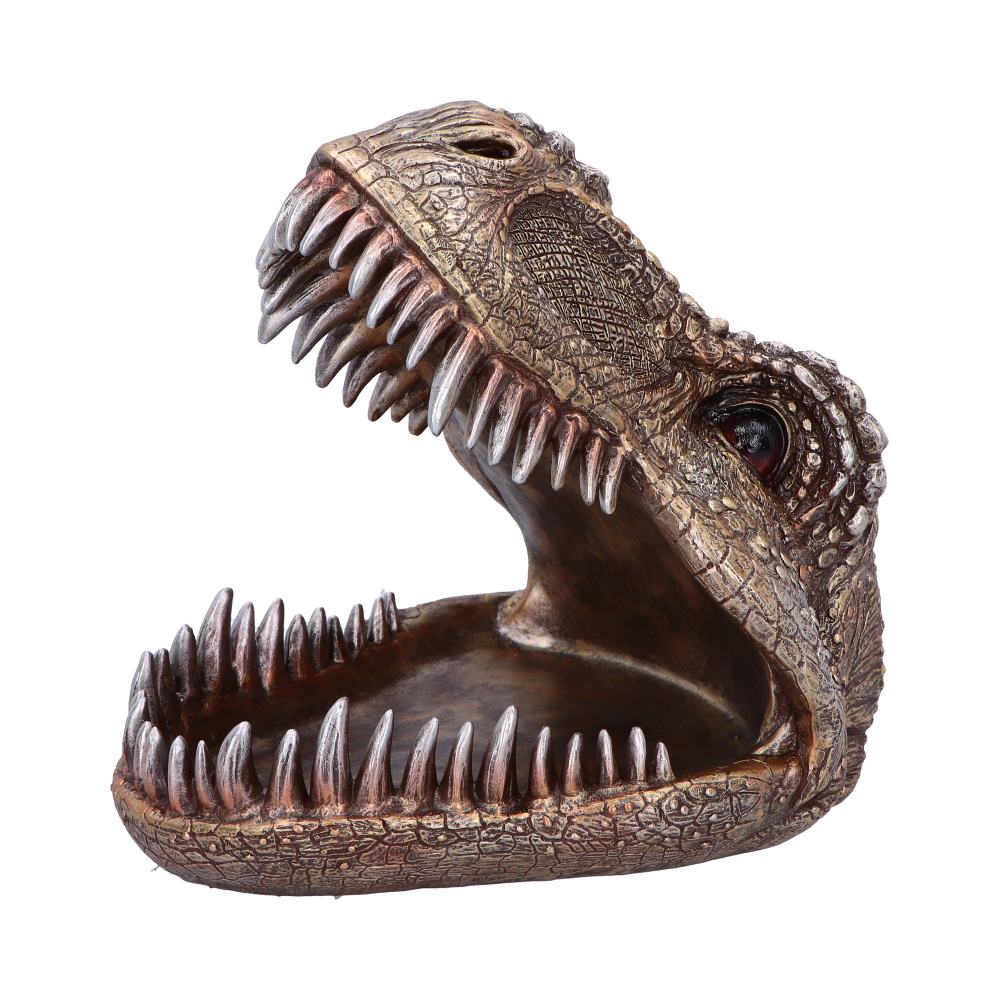 Metallic T-Rex Head Trinket Dish 21.5cm – Nemesis Now
