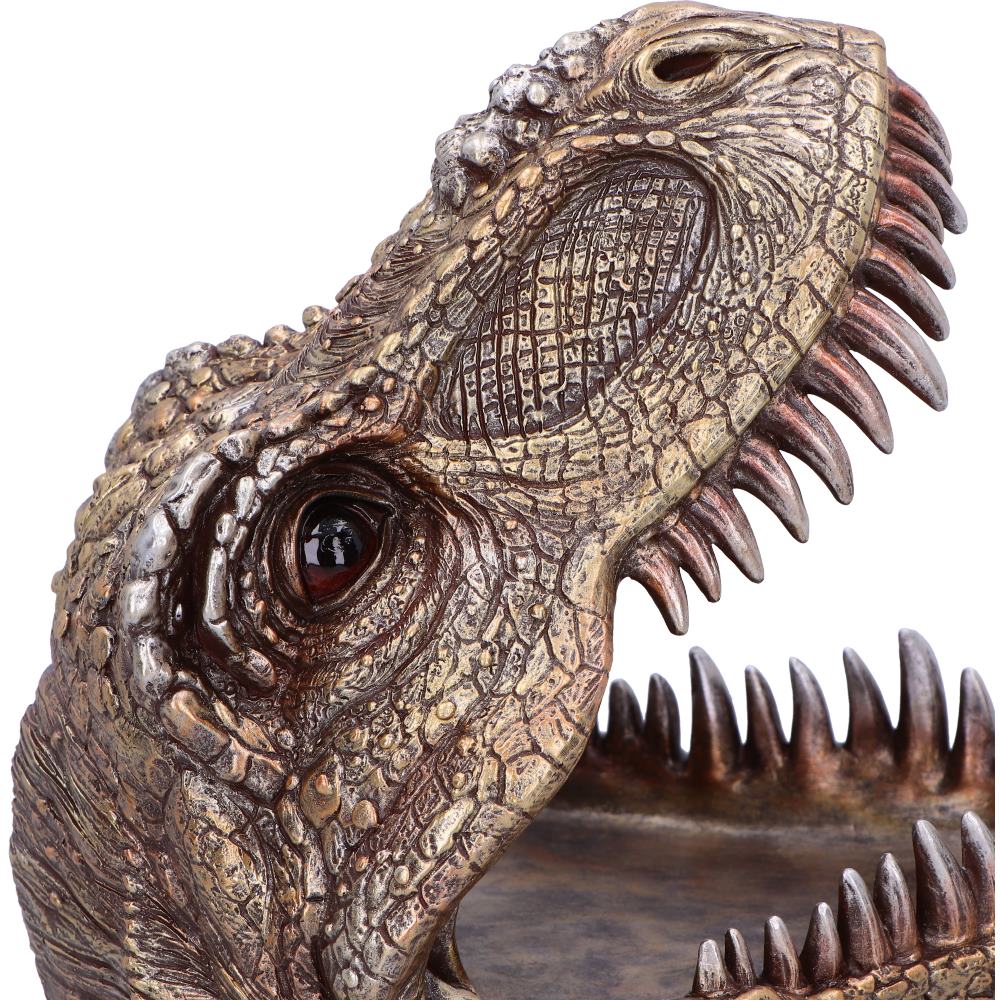 Metallic T-Rex Head Trinket Dish 21.5cm – Nemesis Now
