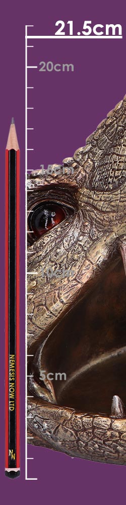 Metallic T-Rex Head Trinket Dish 21.5cm – Nemesis Now