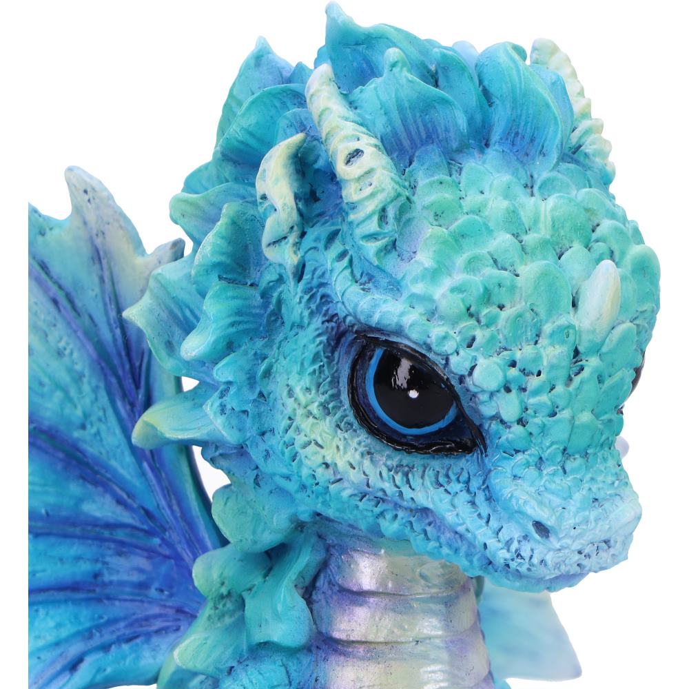 Nemesis Now Blue Poppy Flower Dragon Figurine 11cm