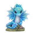 Nemesis Now Blue Poppy Flower Dragon Figurine 11cm