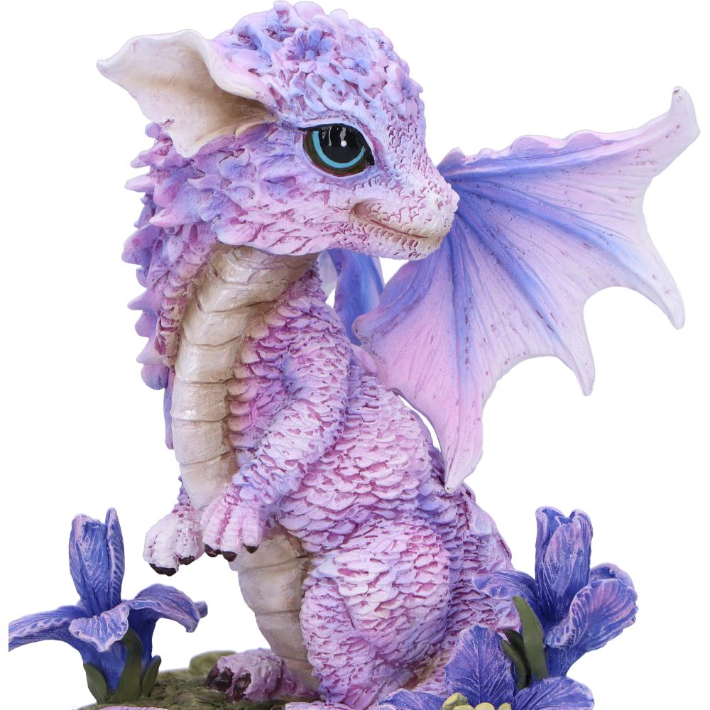 Nemesis Now Iris Flower Dragon Figurine 12cm