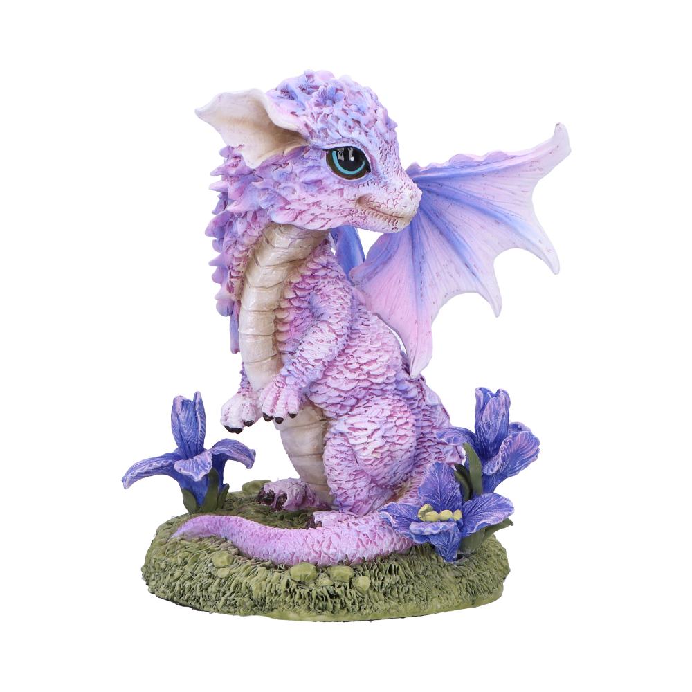 Nemesis Now Iris Flower Dragon Figurine 12cm