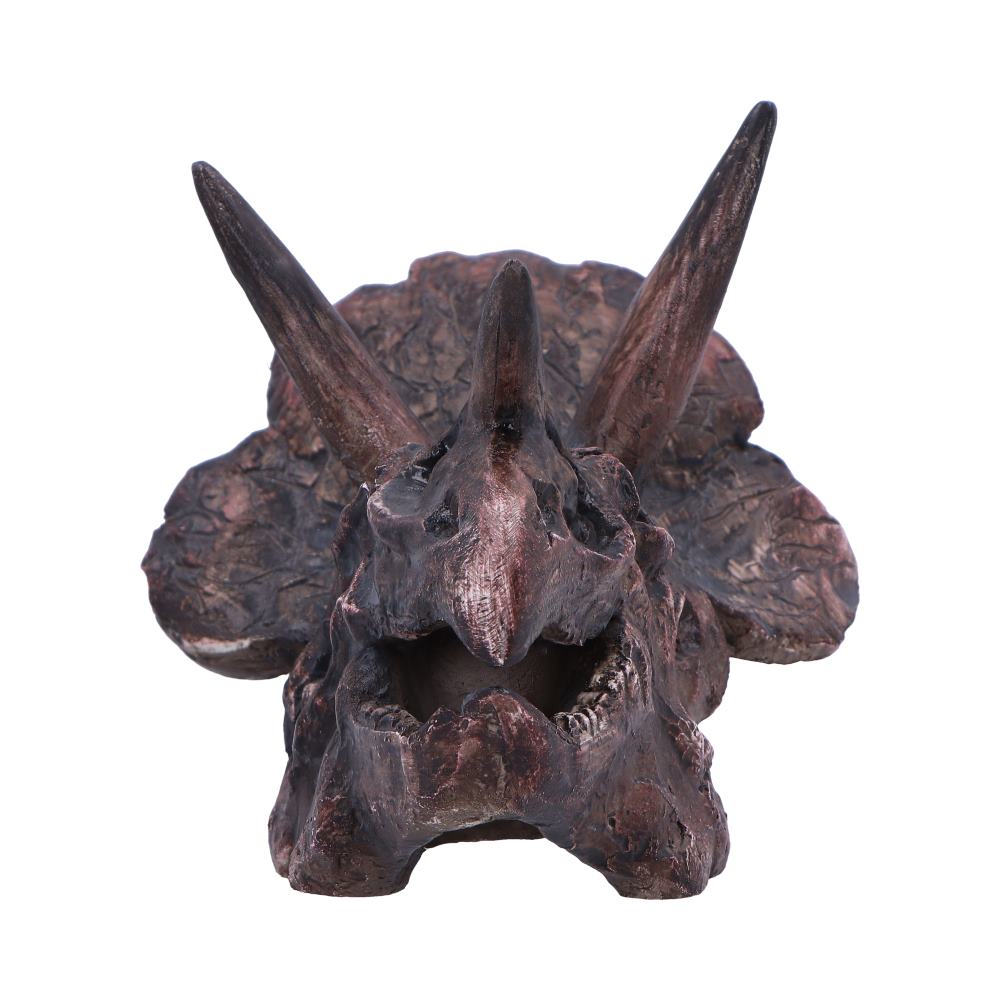 Triceratops Skull Resin Replica – Nemesis Now Dinosaur Ornament