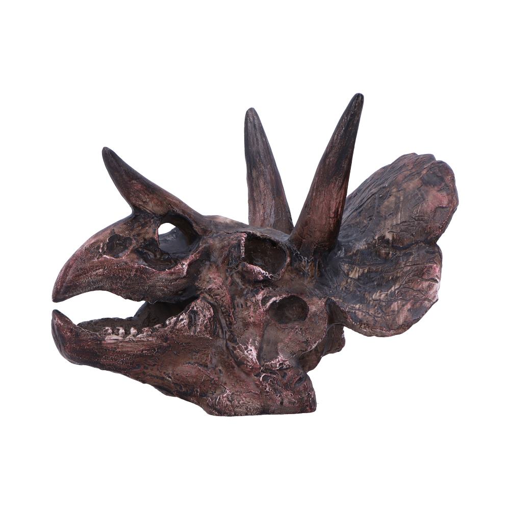 Triceratops Skull Resin Replica – Nemesis Now Dinosaur Ornament