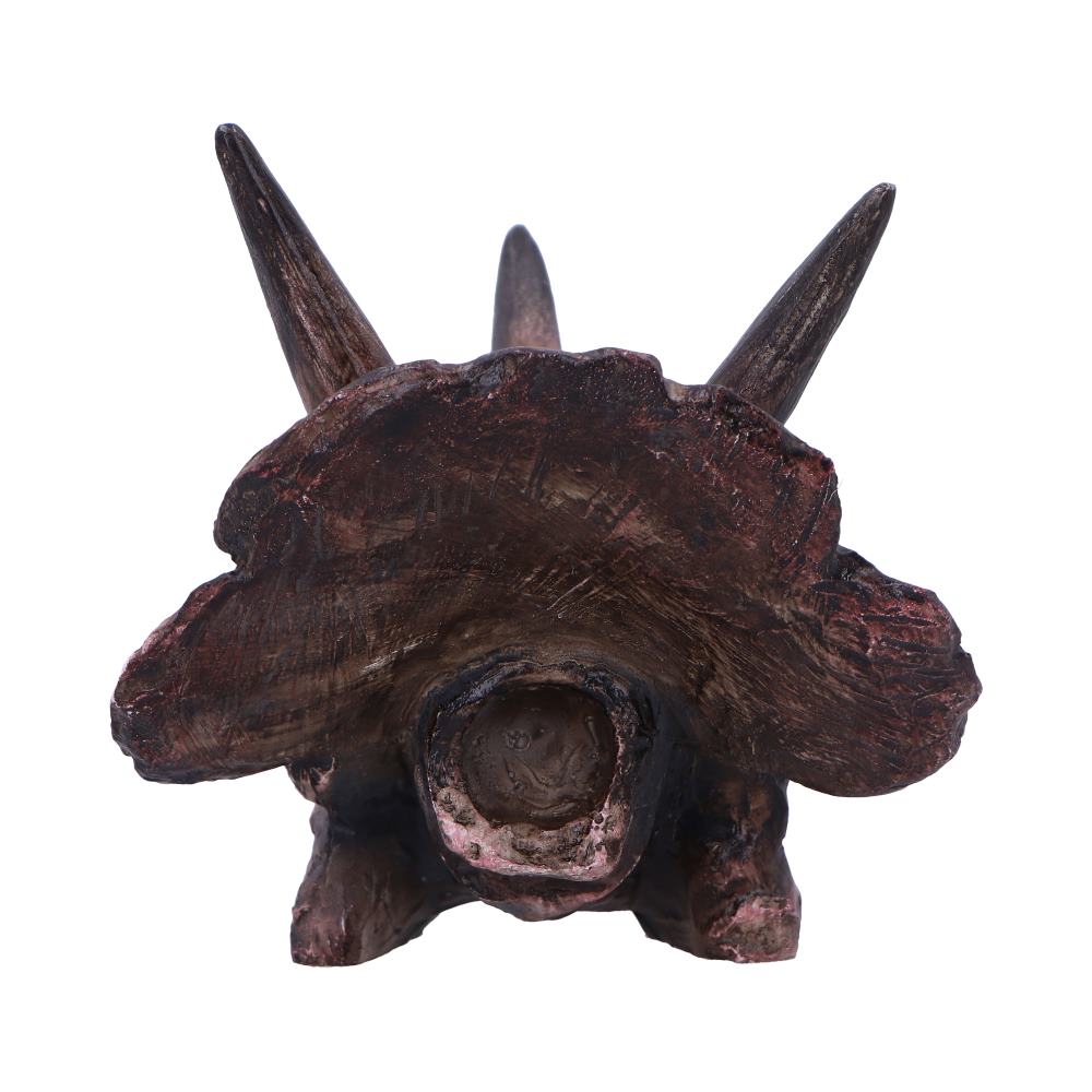 Triceratops Skull Resin Replica – Nemesis Now Dinosaur Ornament