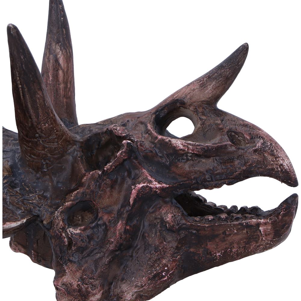 Triceratops Skull Resin Replica – Nemesis Now Dinosaur Ornament