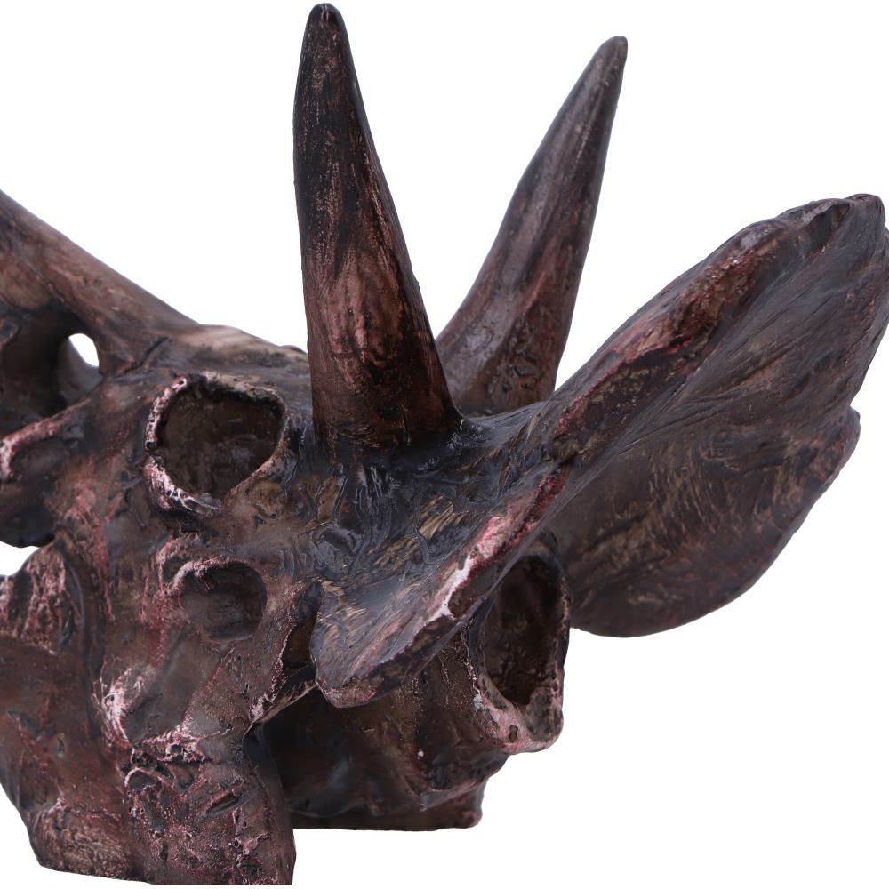 Triceratops Skull Resin Replica – Nemesis Now Dinosaur Ornament