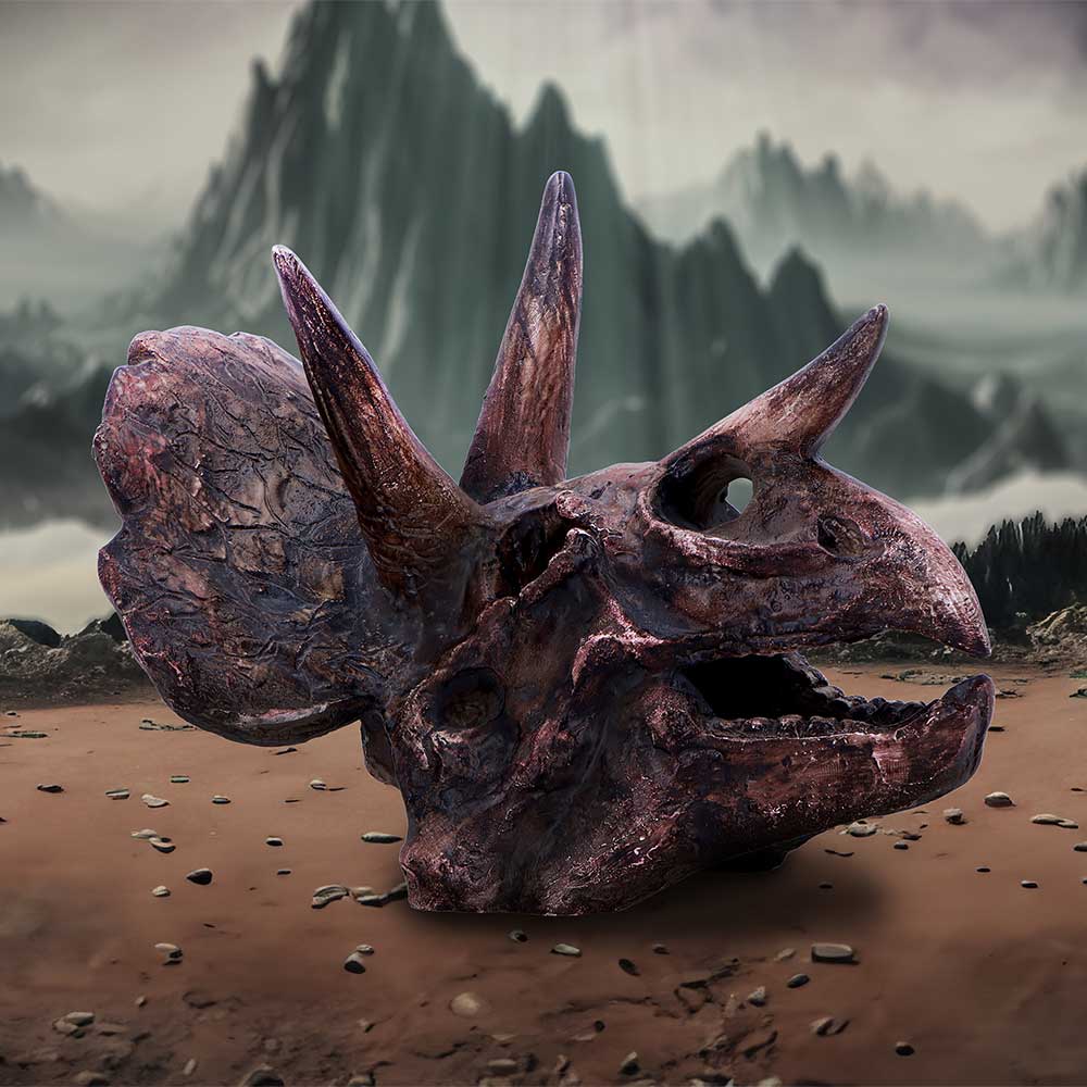 Triceratops Skull Resin Replica – Nemesis Now Dinosaur Ornament