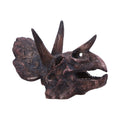 Triceratops Skull Resin Replica – Nemesis Now Dinosaur Ornament