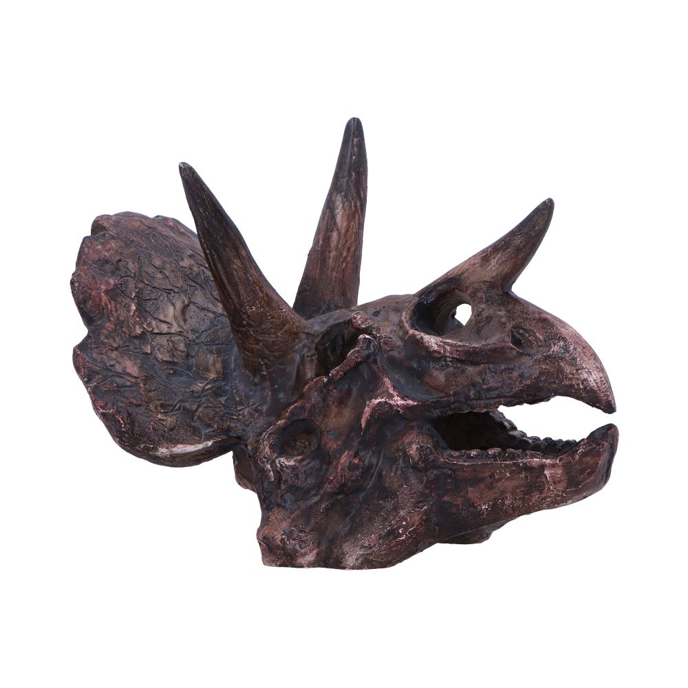Triceratops Skull Resin Replica – Nemesis Now Dinosaur Ornament