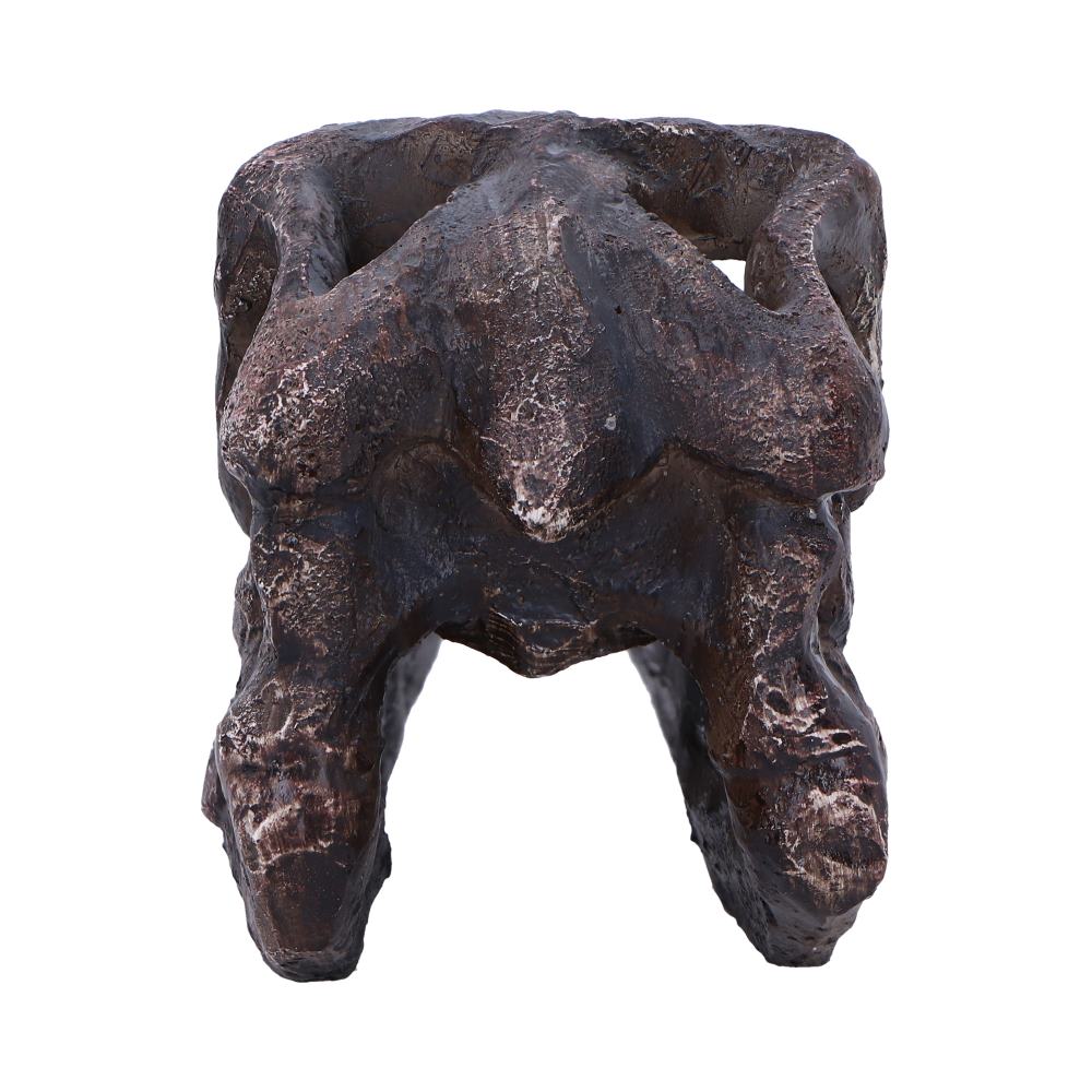 Archaeopteryx Skull Resin Replica – Nemesis Now Dinosaur Ornament