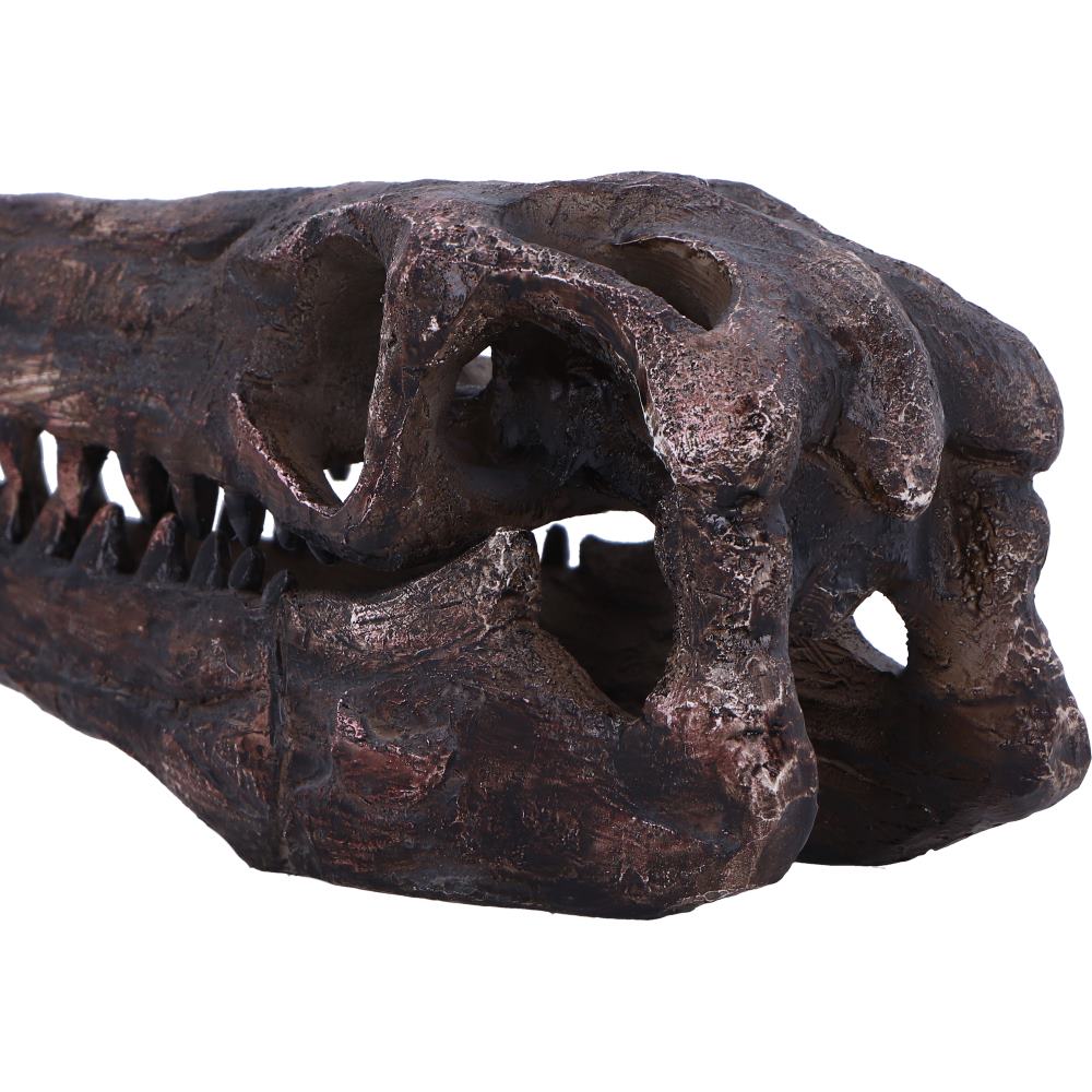 Archaeopteryx Skull Resin Replica – Nemesis Now Dinosaur Ornament