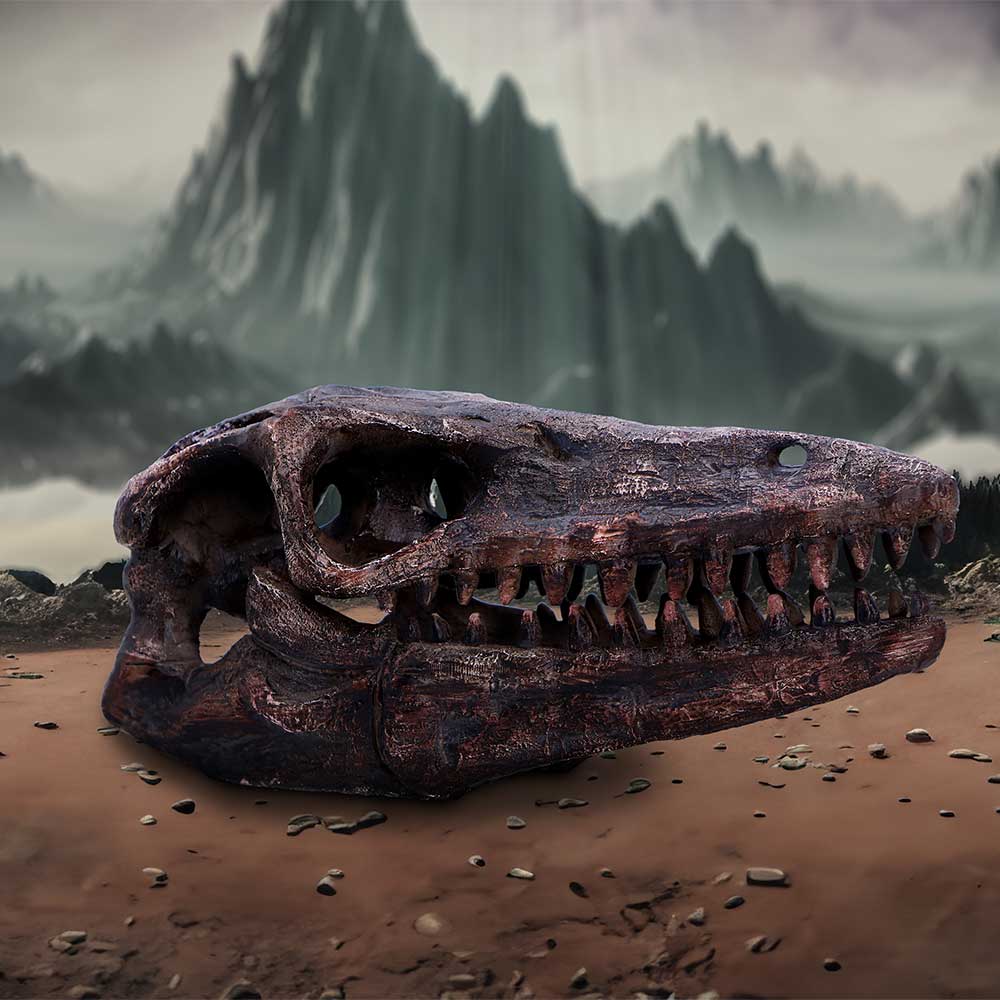 Archaeopteryx Skull Resin Replica – Nemesis Now Dinosaur Ornament