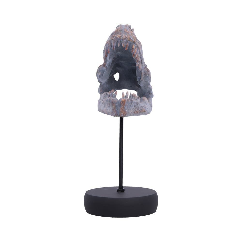 Tyrannosaurus Rex Skull on Plinth | Fossil Resin Sculpture | 24.2cm | Nemesis Now