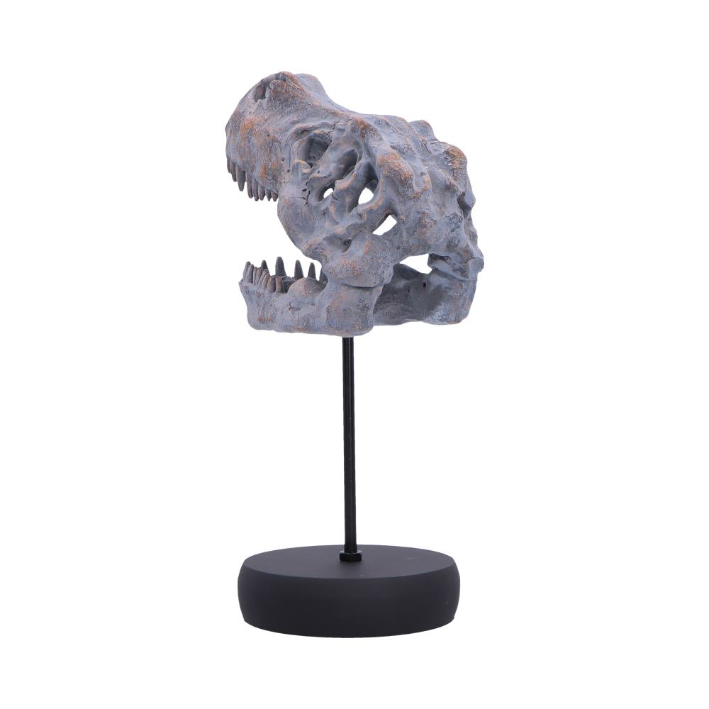 Tyrannosaurus Rex Skull on Plinth | Fossil Resin Sculpture | 24.2cm | Nemesis Now