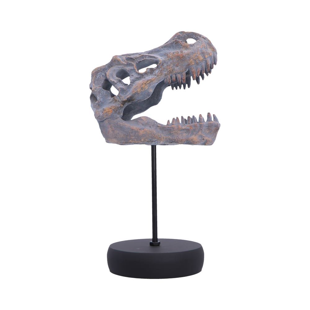 Tyrannosaurus Rex Skull on Plinth | Fossil Resin Sculpture | 24.2cm | Nemesis Now