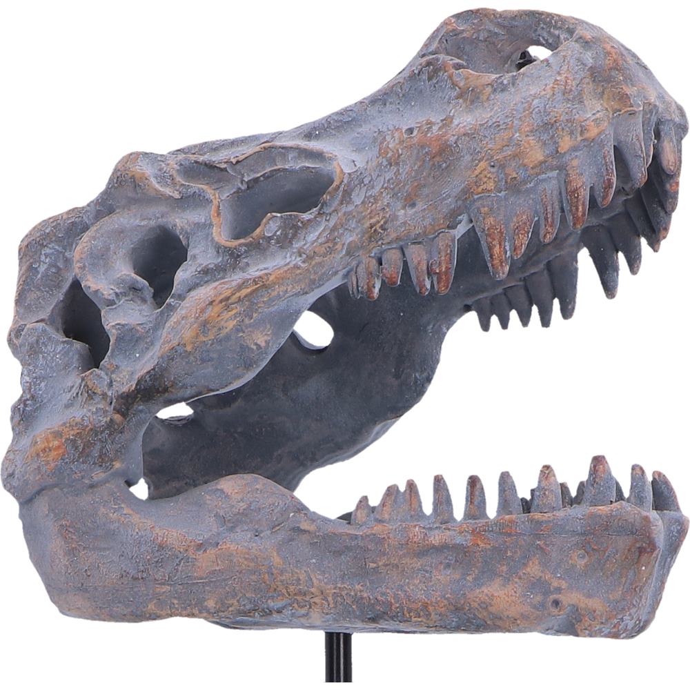 Tyrannosaurus Rex Skull on Plinth | Fossil Resin Sculpture | 24.2cm | Nemesis Now