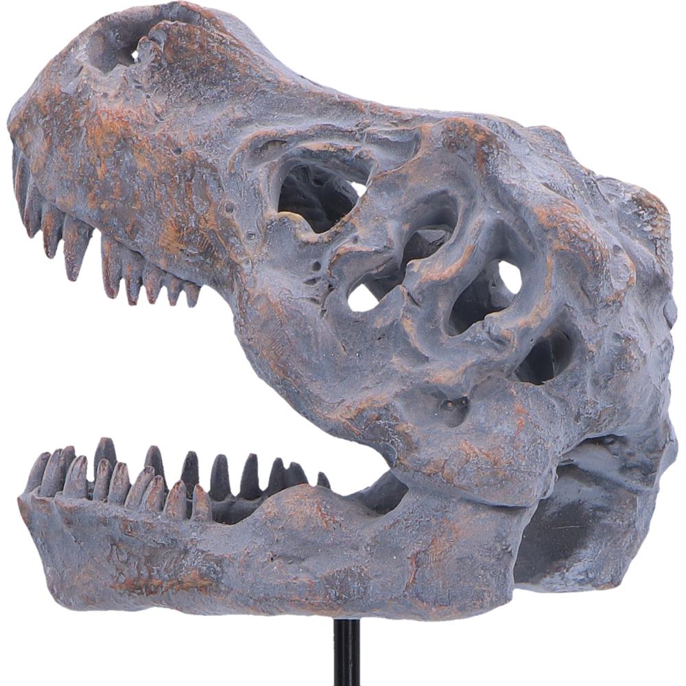 Tyrannosaurus Rex Skull on Plinth | Fossil Resin Sculpture | 24.2cm | Nemesis Now