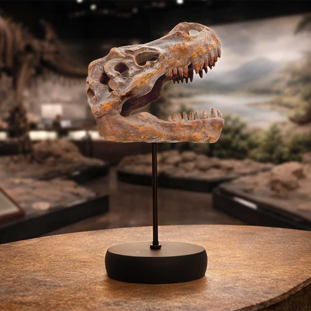 Tyrannosaurus Rex Skull on Plinth | Fossil Resin Sculpture | 24.2cm | Nemesis Now