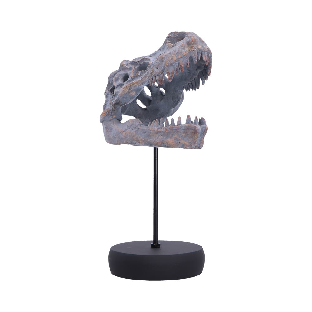 Tyrannosaurus Rex Skull on Plinth | Fossil Resin Sculpture | 24.2cm | Nemesis Now