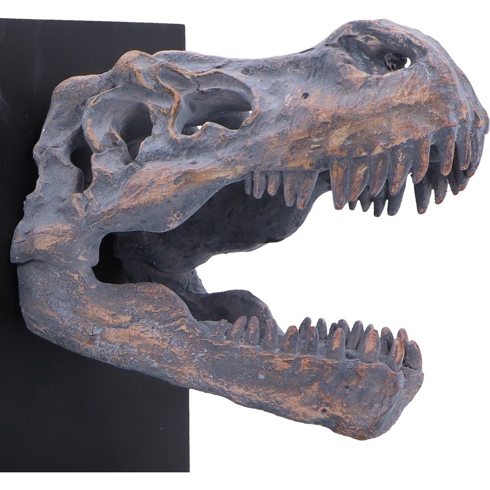 T-Rex Skull Bookends Pair 17.1cm – Nemesis Now