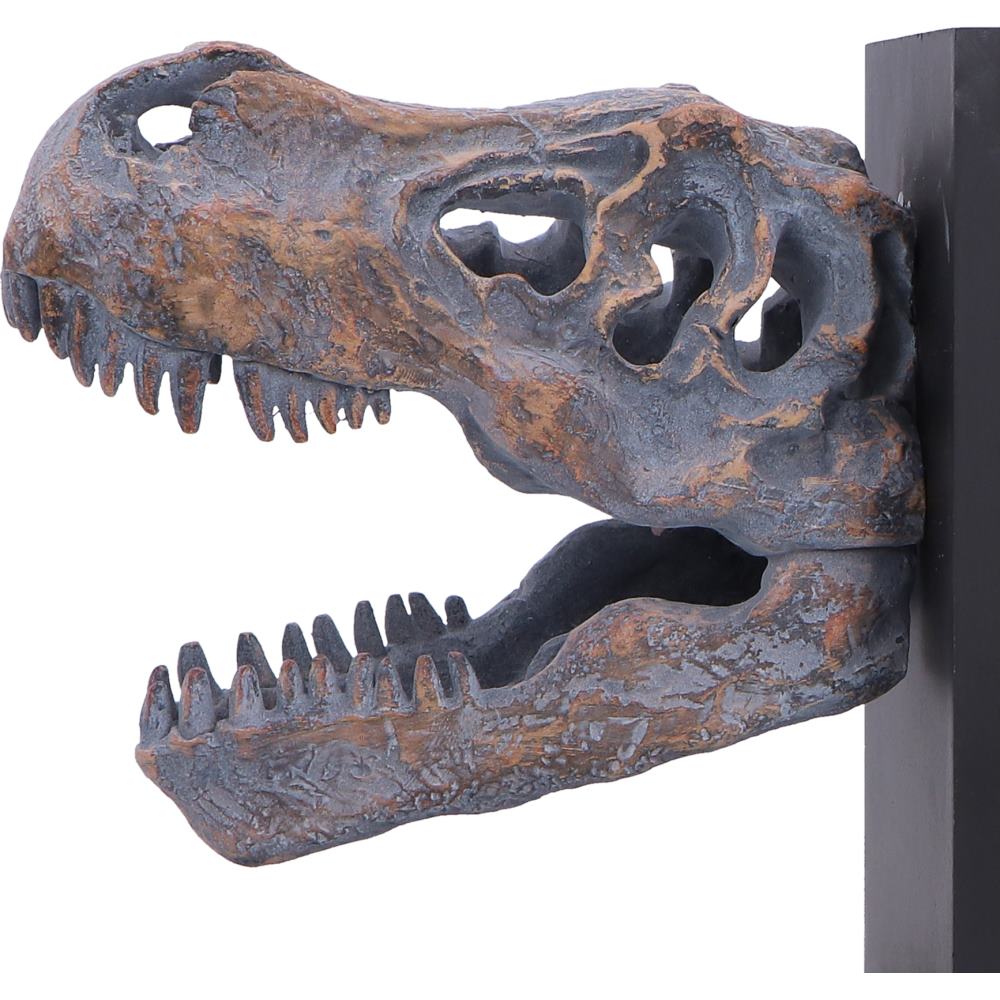 T-Rex Skull Bookends Pair 17.1cm – Nemesis Now
