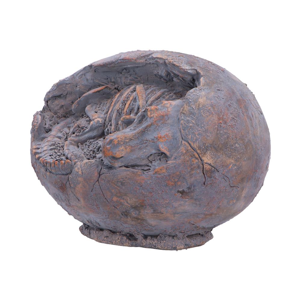 T-Rex Skeleton Egg Figurine 13.3cm – Nemesis Now