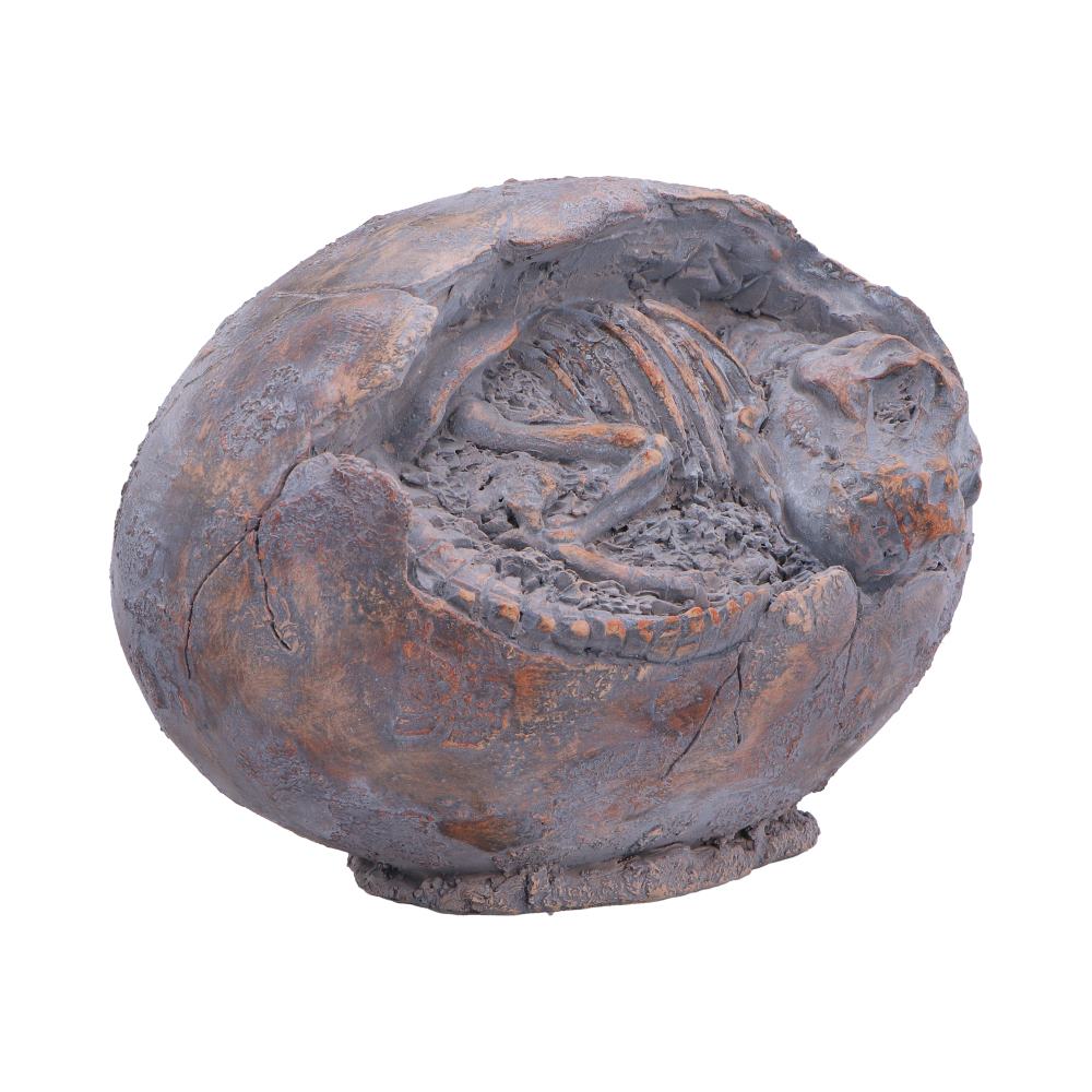 T-Rex Skeleton Egg Figurine 13.3cm – Nemesis Now
