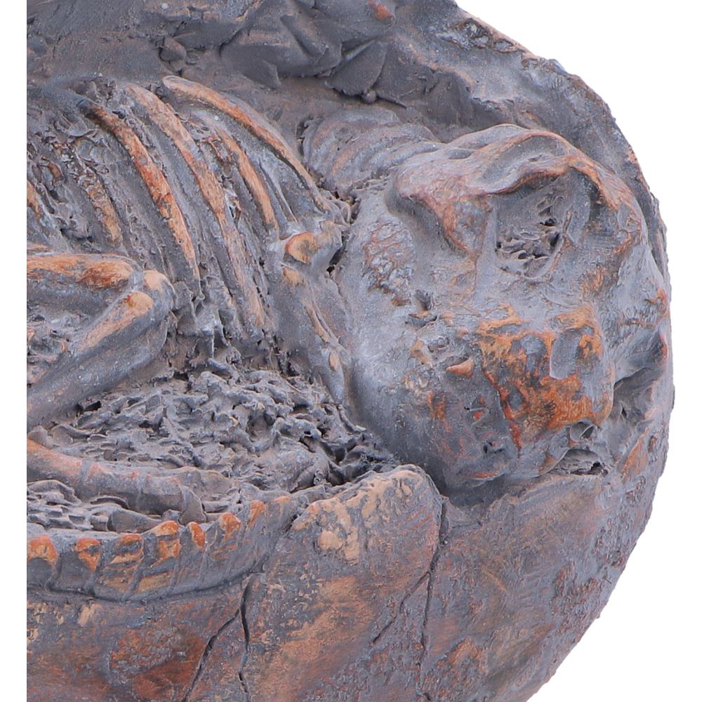 T-Rex Skeleton Egg Figurine 13.3cm – Nemesis Now