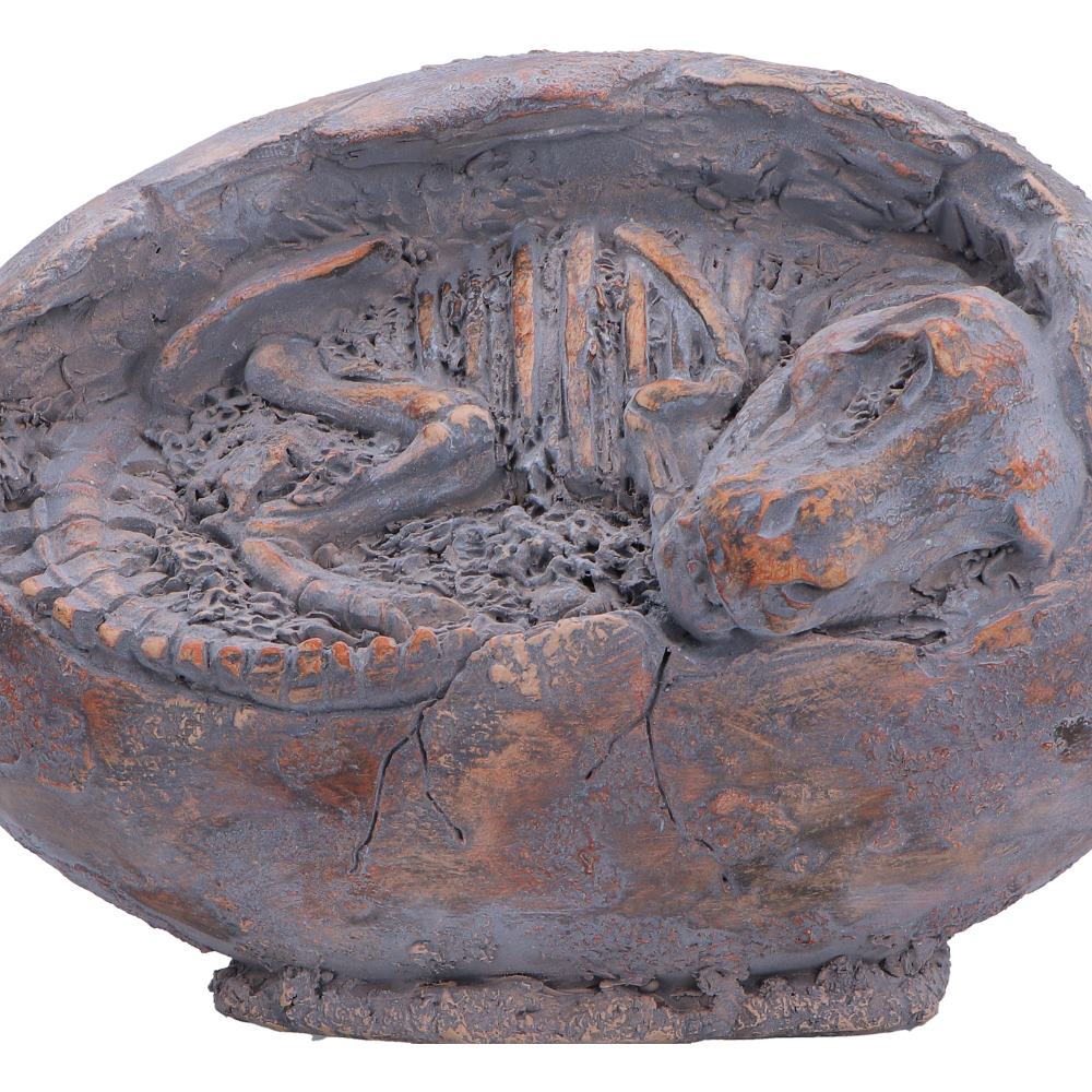 T-Rex Skeleton Egg Figurine 13.3cm – Nemesis Now