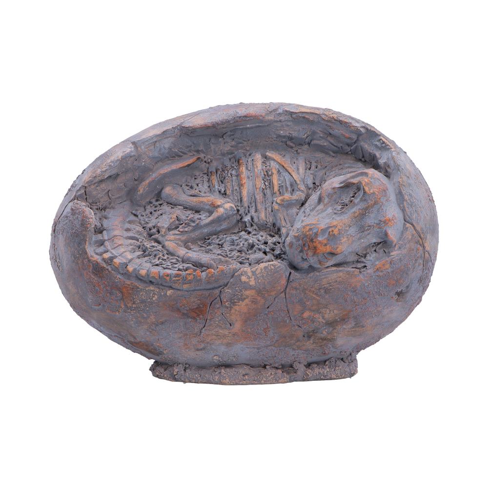 T-Rex Skeleton Egg Figurine 13.3cm – Nemesis Now