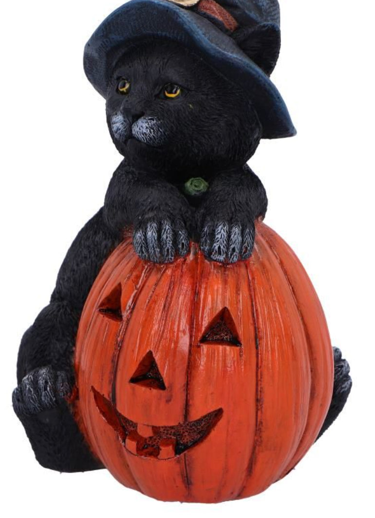 Trick or Treat Black Cat & Pumpkin Figurine 13cm | Nemesis Now